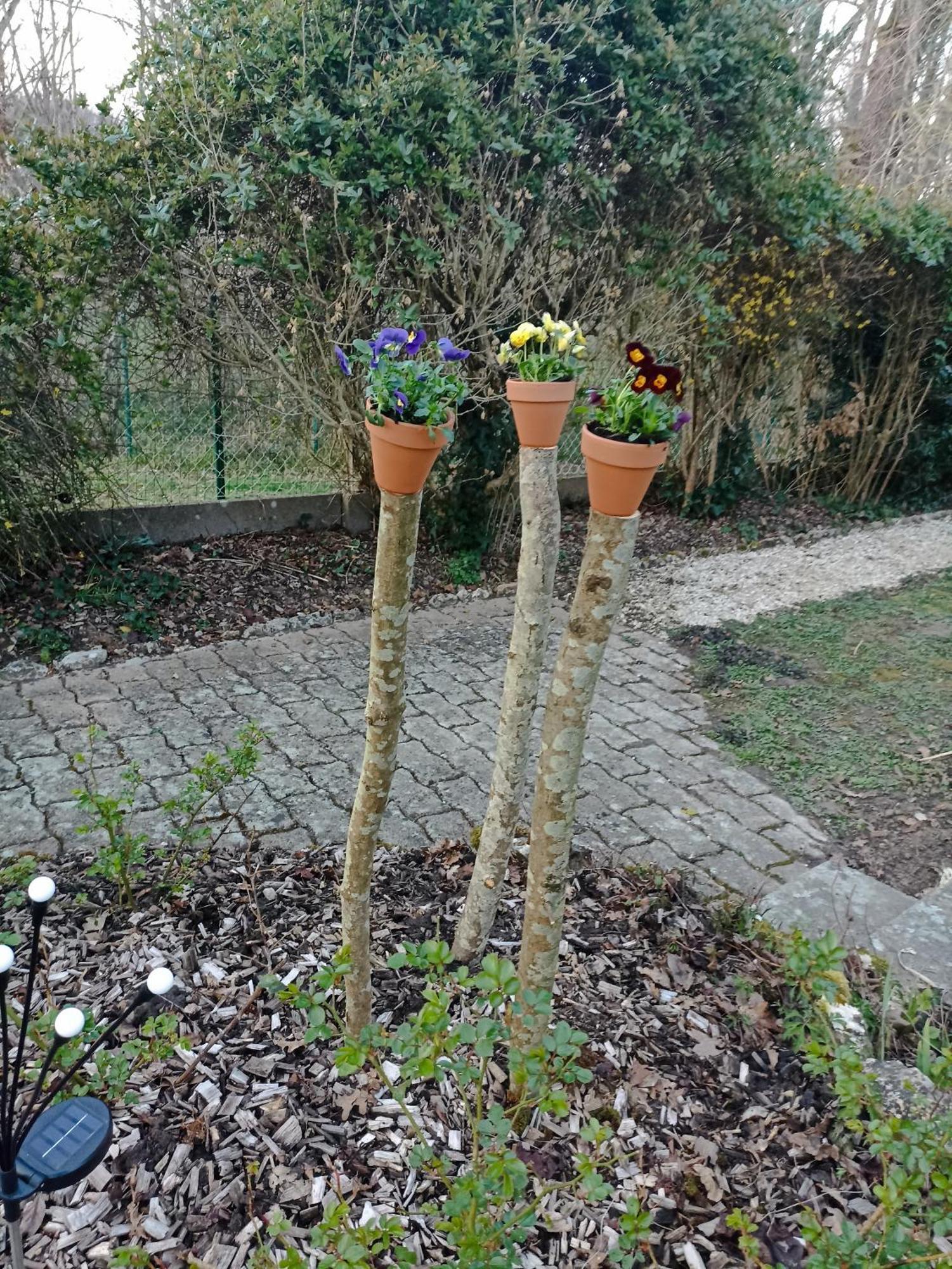 Entre 2 Chateaux Onzain Zewnętrze zdjęcie